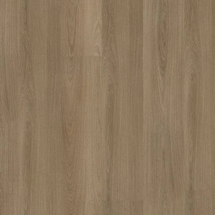 Ambiant - Soleno Dark Oak Click SRC