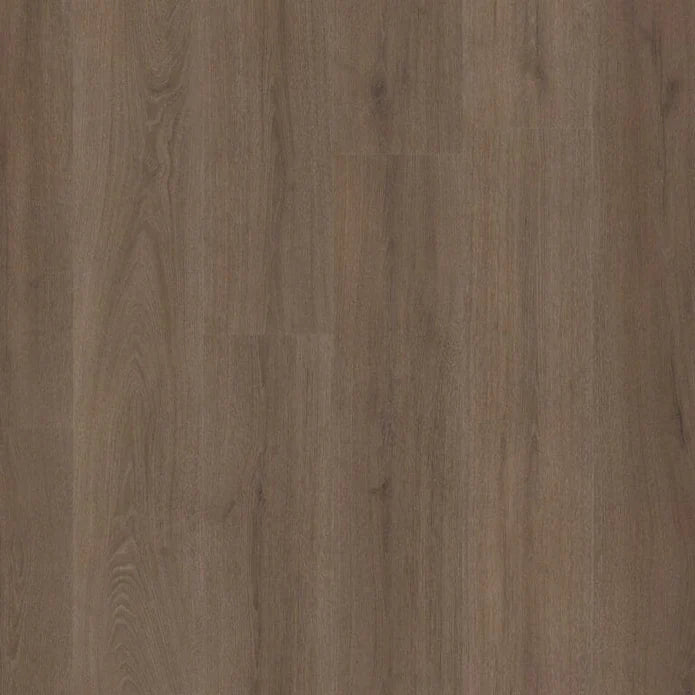 Ambiant - Valento Brown Click SRC