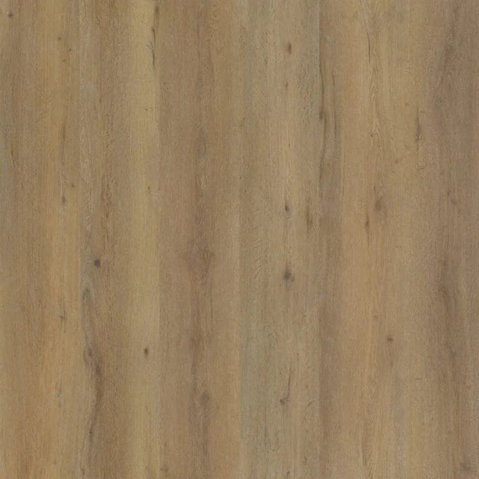 Ambiant - Vivero Dark Oak Click SRC
