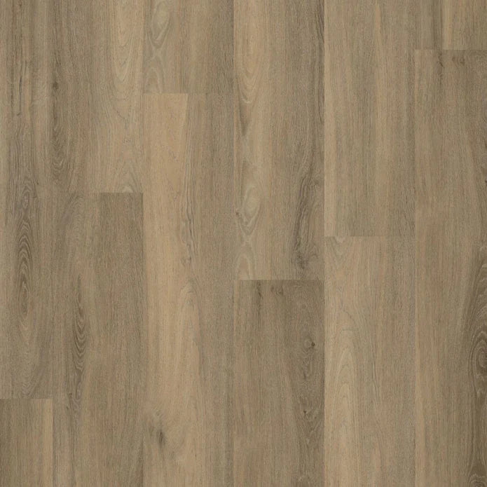 Ambiant - Avanto Smoky Click SRC
