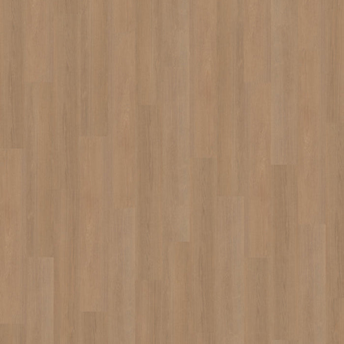 Belakos Futuro 500 - Rigid Klick