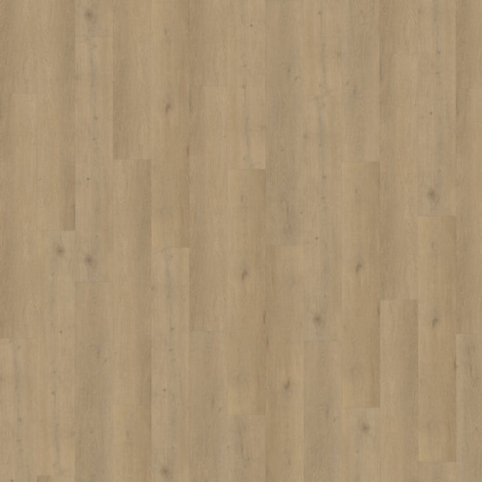 Belakos Attico 870 - Rigid Klick