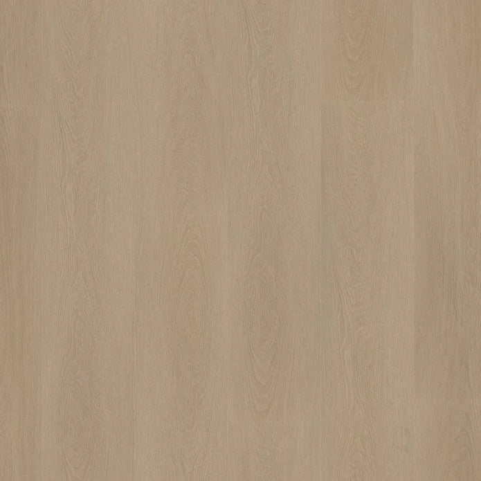 Ambiant - Estino Smoky Klick SRC