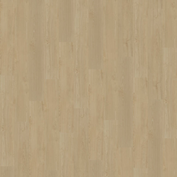 Belakos Portico 550 - Rigid Klick