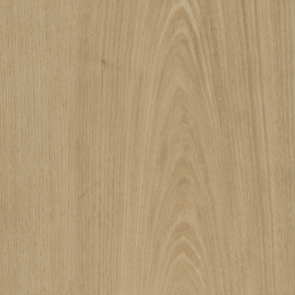 Belakos Portico 560 - Rigid Klick