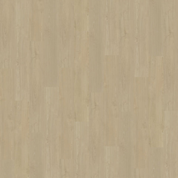 Belakos Portico 570 - Rigid Klick