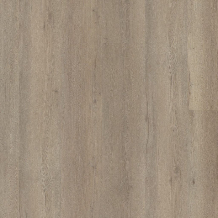 Ambiant - Vivero Light Oak Click SRC