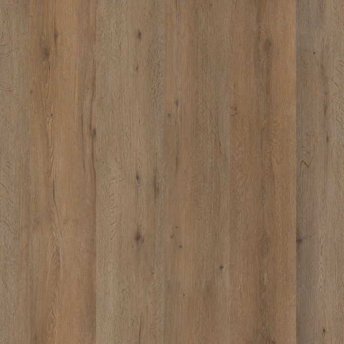 Ambiant - Vivero Smoky Click SRC