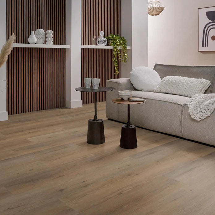 Ambiant - Vivero Smoky Click SRC